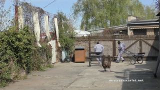 Pony Prisoner Race.-0