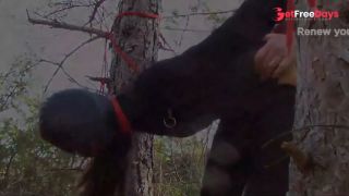 Preview Half an hour compilation of a milf fucked doggy style with repeated orgasms-8