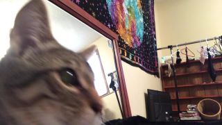 xxx clip 35 ankle socks fetish LusciousxLuci – doggystyle mirror dildo fuck – long hair, masturbation instructions on femdom porn-6