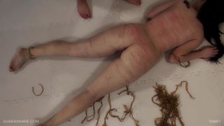 bdsm auction bdsm porn | Tabby Jade 1 280 | bdsm-9