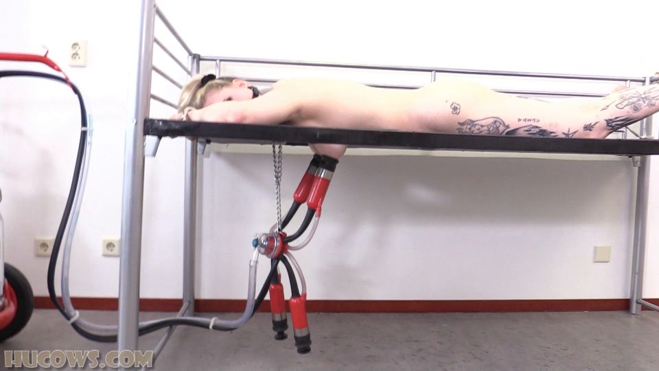 xxx video clip 19 Hucows – Elizabeth More – Cow Milker, nose fetish porn on bdsm porn 