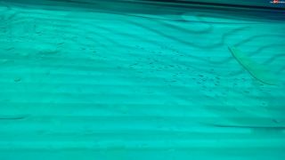 [K2S.CLUB] SteffiBlond - Solariumpiss extrem - abwischen mit dem String - wie geil nass mein ... - FullHD 1080P-6