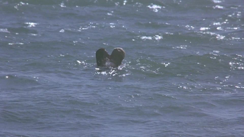 Anna Galiena – Black Angel (2002) HD 1080p - [Celebrity porn]