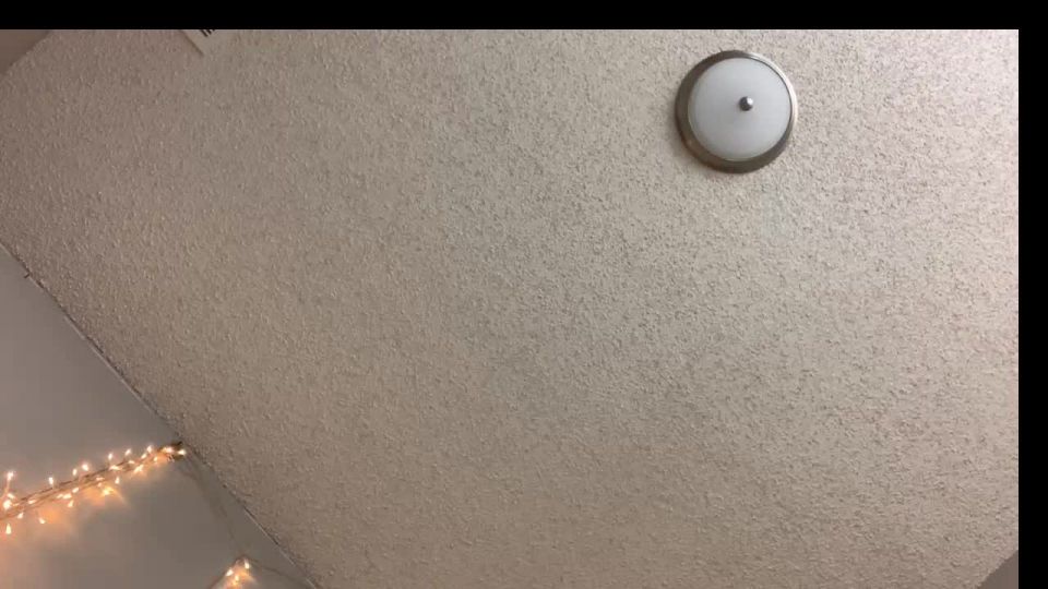 Online Tube Shemale Webcams Video for January 15, 2019 - shemales