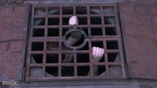 online clip 20 porno incest bdsm bdsm porn | Calico, Sister Dee - Ice Pony I | bdsm-2