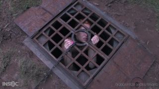 online clip 20 porno incest bdsm bdsm porn | Calico, Sister Dee - Ice Pony I | bdsm-5