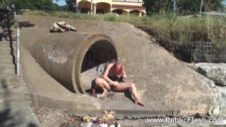 PublicFlash bee (mp4)-3