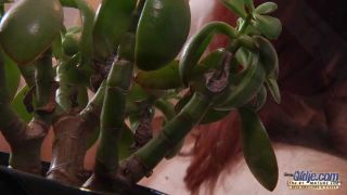 Oldje - E353 Leila Smith Dreamy Madeline - Oldman-7