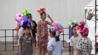  Voyeur Performance 46 - 15318140, voyeur on voyeur-1