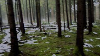 Outdoor Pleasures: Ultimate 2024 Guide to Draussen Fun-6