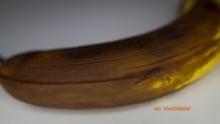 adult xxx clip 33 bald fetish femdom porn | DommeTomorrow – OLD NASTY DICK | femdom joi-9