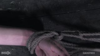 adult video 23 Hardtied – Pro Sub – Lynx 2020-12-30 on bdsm porn chastity fetish-6