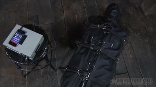 20121027 RTB Training of H Part 4 - Hazel Hypnotic Video...-6