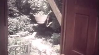 Swedish Erotica 1103: The Erotic Exotic Machine (1978) - (Vintage)-4