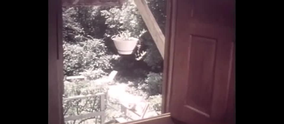 Swedish Erotica 1103: The Erotic Exotic Machine (1978) - (Vintage)