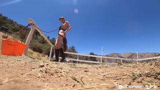 Pony Cart Ride - 7/13/2020-7