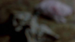 Au Pair Girls 1972 The Classic Vintage Erotic Thriller-0