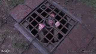 online xxx video 14 Calico, Sister Dee - Ice Pony I [HD 2.39 GB], fetish bdsm webcam porn on bdsm porn -5