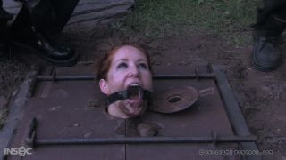 online xxx video 14 Calico, Sister Dee - Ice Pony I [HD 2.39 GB], fetish bdsm webcam porn on bdsm porn -8