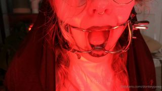 donkeypawg dp00147-8