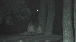 free porn clip 4  Public Sex Night Watching 130, public sex on public-0