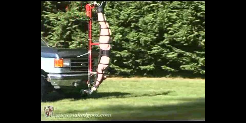 House of Gord19 12 13 Fayth on Fire - Inverted Hood Ornament (Scene)