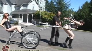 House of Gord20 07 04 (18 07 27) Anna Rose - Sulky Racer-2