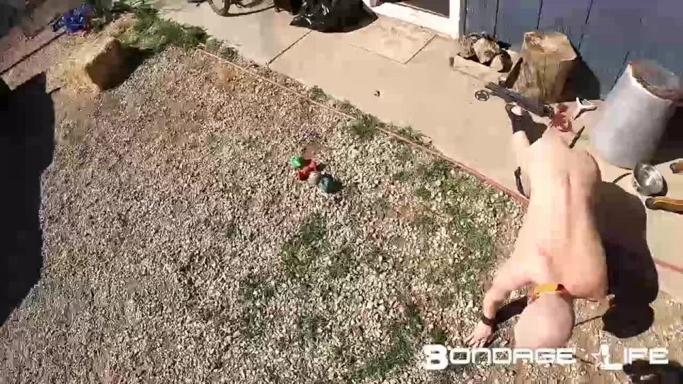 A Leashed Pet - 04.18.22 Video Sex Download Porn