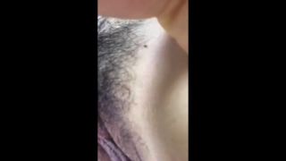  webcam | digi-tents webcam 162 - 15277896 | webcams-1