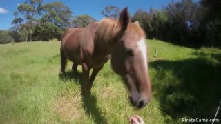 ManyVids – forestnymph - Island Adventure Pt. II - [Webcam]-8