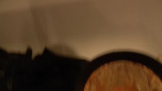 video 37 big dick porn big ass fetish porn | Bad Dolly – WAM Bucket Returns | bikini-7