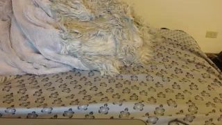 Shemale Webcams Video for October 12, 2018 – 23 Webcam!-2