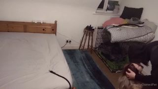 PSYCHOTHRILLERSFILMS - Ashley Laneproudlyownedpet-31-08-2021-1