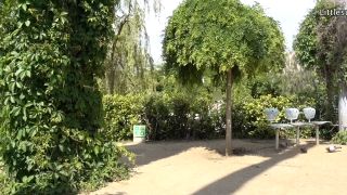  Softcore  Anal porn  Littlesubgirl - littlesubgirl risky public anal squirts amp naked - Squirt-5