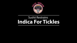 SolesScreamExperience - Sushii Restrains Indica For Tickles.-9