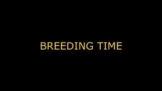 Daddys Girl DADDY TALKING DIRTY (COMPOLATION) ROUGH DOM AUDIO JOI/INTENSE EROTICA HARDCORE FUCKING DIRTY TALKING-9