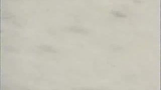 [SiteRip] BodySheen CandidStuff12-6