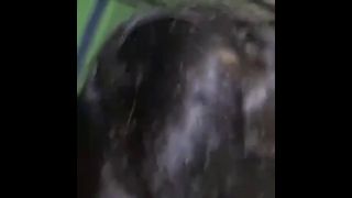 Hardcore Sri Lankan Couples Fucks At Vacation And Enjoying-7