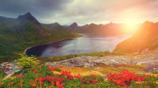 xxx video clip 46 femdom manga Queen_Shakti - Relax on my voice Meditation - HD 720p, femdom on fetish porn-1