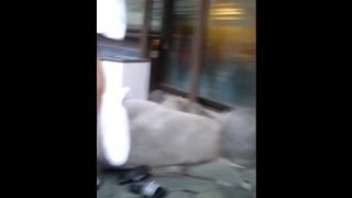 Porn online Voyeur Hidden-Zone – hz_25147 (AVI, HD, 960×720) Watch Online or Download!-0