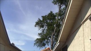 Violet Skye Gets Hung And Crotch Roped Video Sex Download...-3