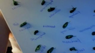 Hot Nights of Passion: Midnight Seduction Thrills Await-7