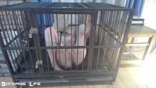online xxx clip 42 Bondage Life – Cage Time With Greyhound – Rachel Greyhound - bdsm - fetish porn extreme gay bdsm-7