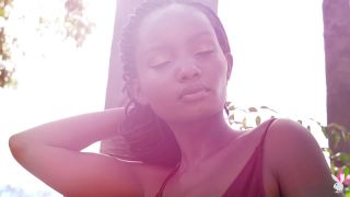 Shasta Wonder - Garden Glow - Solo-2