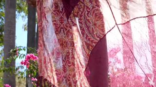Shasta Wonder - Garden Glow - Solo-6