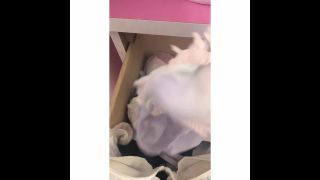 free porn clip 23 PantySpy 13 – InShot 20190315 185119816 | hardcore | hardcore porn die hardcore xxx-3