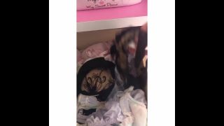 free porn clip 23 PantySpy 13 – InShot 20190315 185119816 | hardcore | hardcore porn die hardcore xxx-4