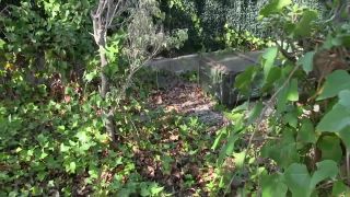 Afsana in the Slave Transport Box Video Sex Download Porn-9