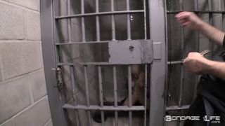 How to Lock Down a Greyhound - 06.15.21 Video Sex Downloa...-4