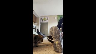 adult clip 16 LusciousxLuci – cats n shoes on masturbation porn female muscle fetish-1